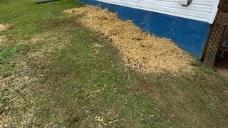 Cleaning Up the Job Site