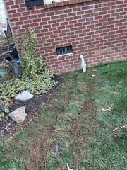 IceGuard and LawnScape Outlet