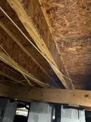 Shockwave Mold Treatment