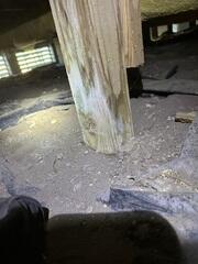 Crawlspace Transformation on Saint Helena Island, SC