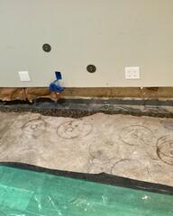 Upgraded Drainage System Installed