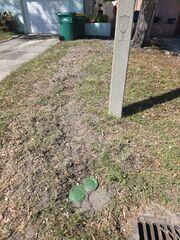 Pop-up Relief Drains