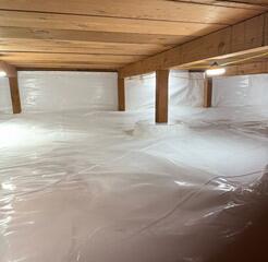 CleanSpace