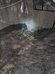 Very Dirty Crawl Space