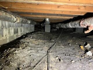 Wet, Moldy Crawl Space