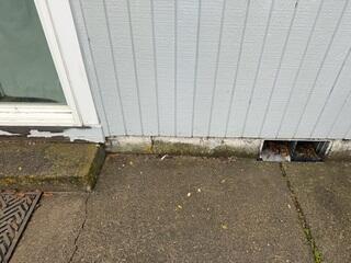 Foundation Wall Crack