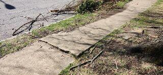 Cracked Sidewalk