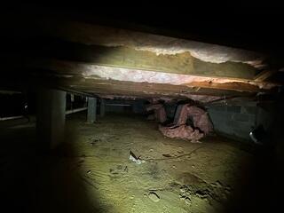 Damp Crawl Space