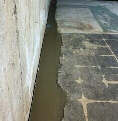 WaterGuard Drainage System
