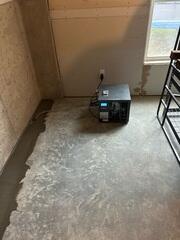 Basement Dehumidifier
