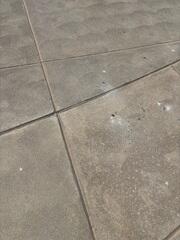 Concrete Driveway Repair & Leveling