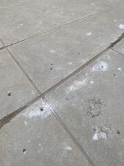 Concrete Driveway Repair & Leveling