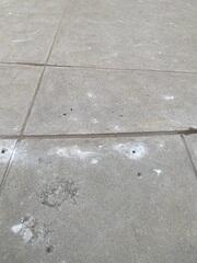 Concrete Driveway Repair & Leveling