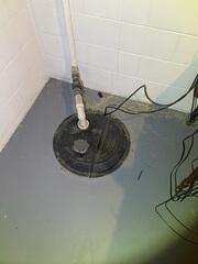 Original Sump Pump