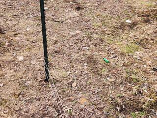 Once the Poles Are Installed