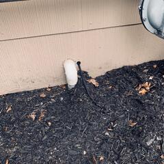 Not Too Small for Mice