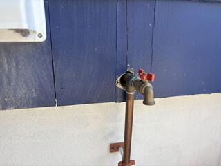 Openings the Mice Were Using