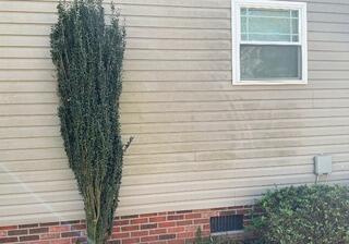 Home Siding In Need of a Clean!
