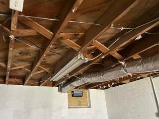 Mold-X treatment