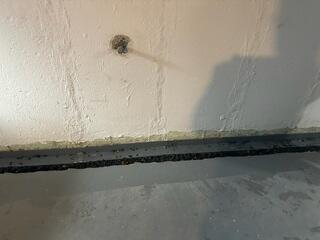 Basement Waterproofing in Somerville, NJ