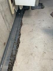 Drainage Implemented in Basement