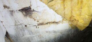 Effects of Water Damage