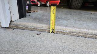 Specialized Consultation