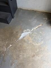 Concrete Repair