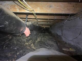 Nasty Crawl Space