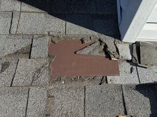 Patching Up the Damage from the Raccoons in Bridgewater, NJ