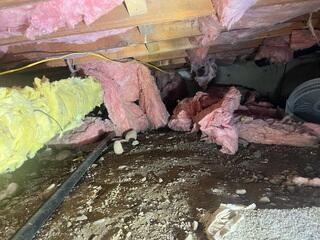 A Nasty, Disastrous Crawl Space