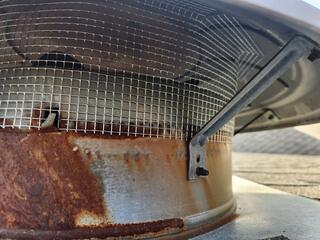 Squirrels Won't Get In