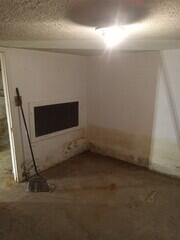 Mouldy wall