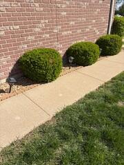 Concrete Sidewalk Repair & Leveling