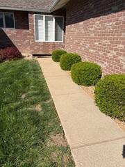 Concrete Sidewalk Repair & Leveling