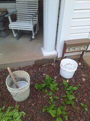 Concrete Sidewalk Repair & Leveling