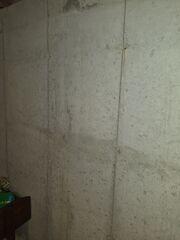 Basement Wall Crack