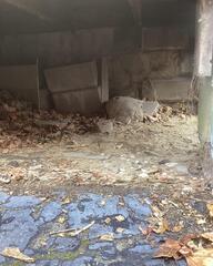 Inside the Crawlspace