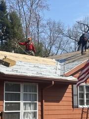 Roof Protection