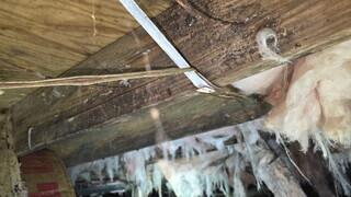 A relative humidity of 81% was creating an environment where mold could thrive on organic materials such as floor joists and boards.