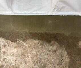 WaterGuard Drainage System