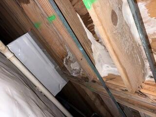 Crawlspace Enhancements in Savannah, GA