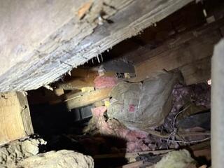 Dirty, Nasty Crawl Space