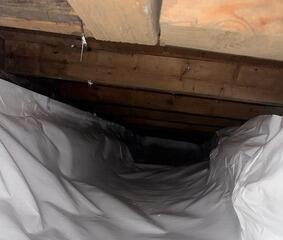 20 Mil CleanSpace Vapor Barrier