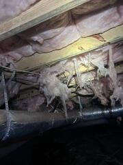 Falling Insulation
