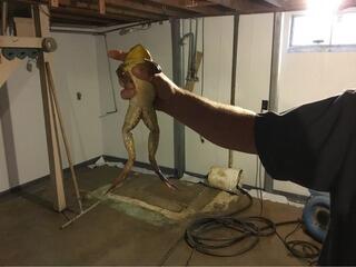 Wet Basement in Moores Hill, IN