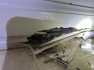 Now for the Liquid Termiticide