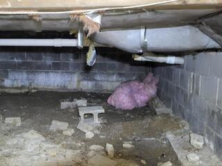 Dirty, Wet Crawl Space