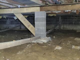 Replacing Wood is Costly