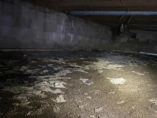 Musty Existing Crawl Space